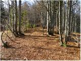 Podbrdo - Planina Za Črno goro